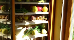 A photo of a pantry open in a tiny house.