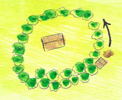 Watercolor representing a technique of banana forest regeneration using movable dry toilets.