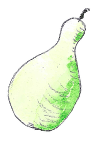 Watercolor of a pear-shaped gourd.
