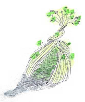 Watercolor of a living weaved willow cabin.