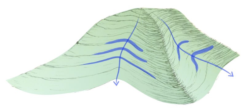 Sketch of valleys, ridges, contour lines, and swales preventing water from runoff.