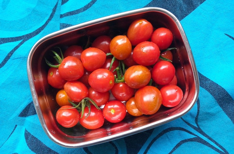 Photo of a cherry tomato harvest, from a rooftop garden.