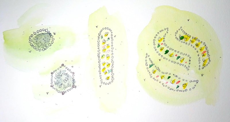 Watercolor of a different shapes of raised bed garden, seen from above, like round, long, hexagonal, flower shape.