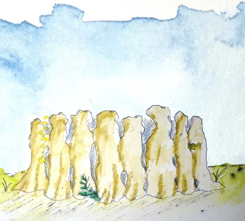 Watercolor of a living raised garden bed with walls made from living pollard oaks.