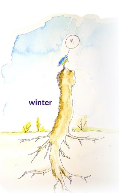 Water color of a pollard tree in winter, with a puzzled bird on top of it.