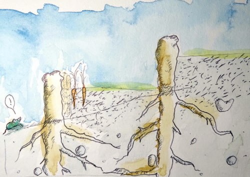 Watercolor of a slopy land with terraces maintained by oak pollards planted in contour lines.