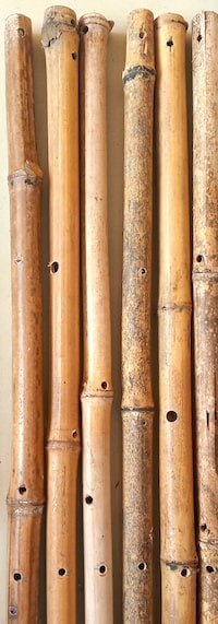 Photo montrant les trous que j'ai percés dans les tubes de la treille de bambou dans notre petit jardin. Ces trous peuvent servir d'abris pour les insectes.