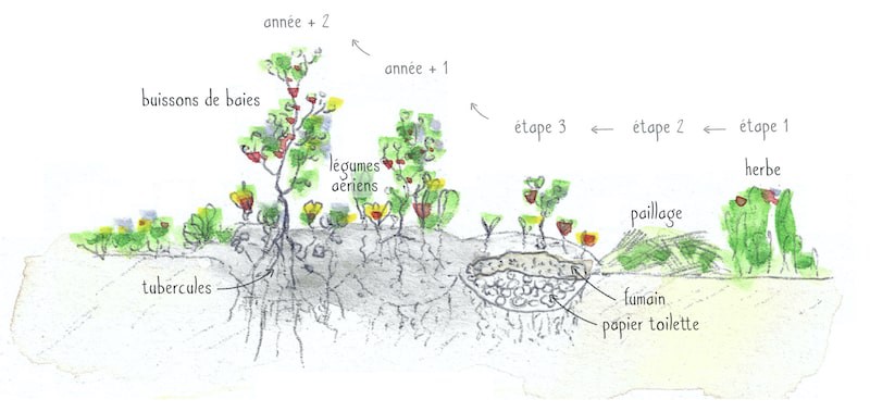 Aquarelle représentant une façon de créer un potager linéaire en forme de serpent, en utilisant du compost de toilettes sèches.
