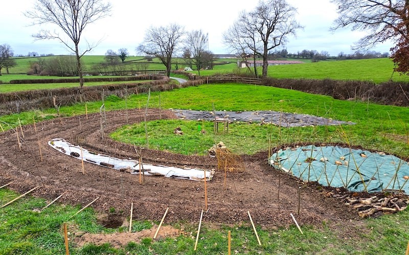 Photo de la plantation d'un jardin forêt sur une prairie, en Bourgogne, France.