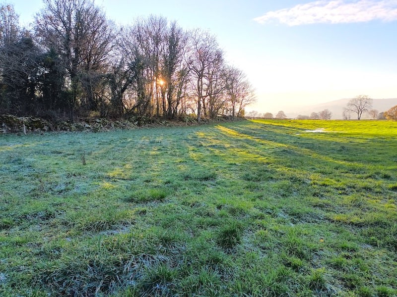 Photo d'une prairie et d'un bois en hiver, en Bourgogne, France.