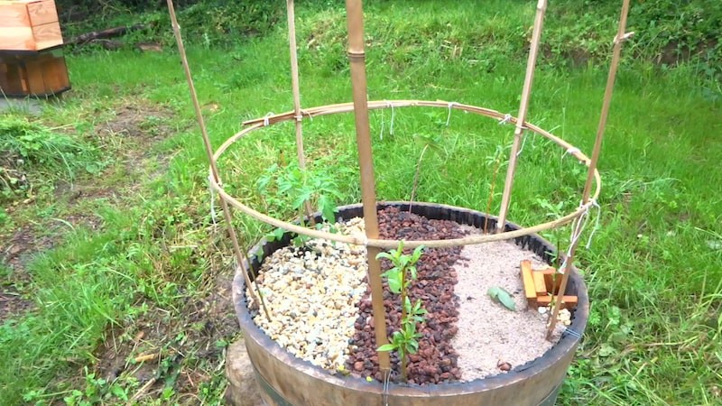 Photo de notre mini station de phytoépuration pour eaux grises.