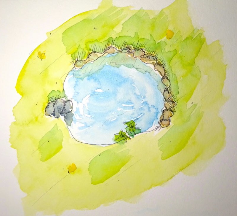 Aquarelle d'un étang dans une prairie, vue d'en haut.
